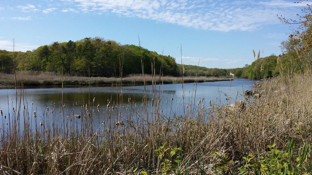 Bee And Thistle Inn Old Lyme Εξωτερικό φωτογραφία